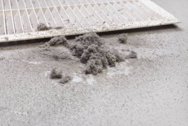 Best Affordable Duct Cleaning Services  in Elkins, AR