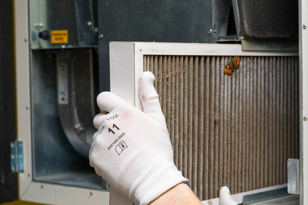 Best Ductwork Cleaning Services  in Elkins, AR