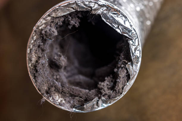 Best Ventilation Cleaning Services  in Elkins, AR