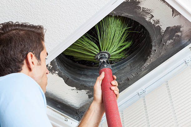 Best HVAC System Cleaning  in Elkins, AR